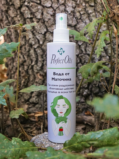 Lemon Balm Water – Soothing care, freshness and balance | PerfectOils